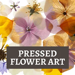 Pressed Flower Art