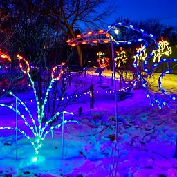 11/28-12/30: Festival of Lights & Tree Sale