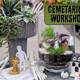 Cemetarium Workshop