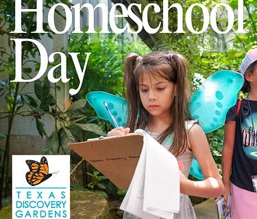 Homeschool Day: Bug Hunt