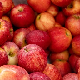 National Farmers Market Week