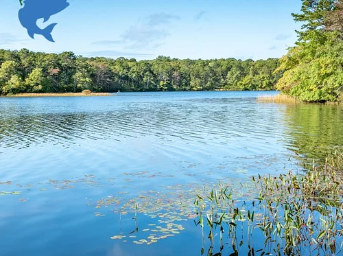 Harwich Ponds Coalition Annual Meeting