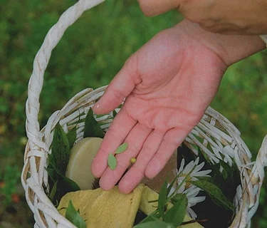 Herbs, Tea, and Potpourri: A Wellness Month Program