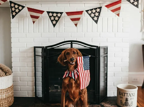 Closed 4th of July