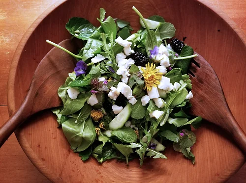 Hands-on Hearth Cooking Class: Spring Bounty