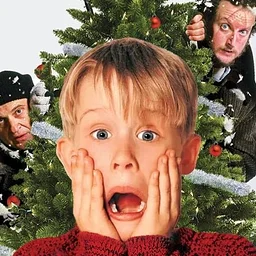 Home Alone in Concert