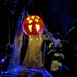 Halloween Night Hike