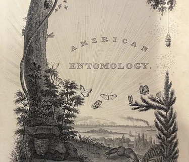 Behind the Bookcase Tour | Every Living Thing | In-Person