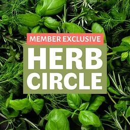 Herb Circle: Herbal Salves