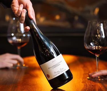 Introduction to Wine Tasting Experience