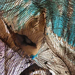 Artist Talk | Jeremy Wineberg