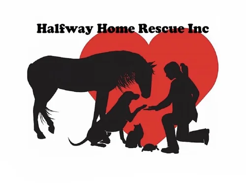 Halfway Home Rescue at Cheshire Cat and Dog Too, Chesire