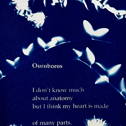 Weekend Workshop: Blue Poems Under the Sun: Cyanotype Printmaking