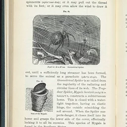 Stories of Science: Craft-tober