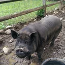 Vacation Drop-Off: Animal Enrichment (Ages 5 – 9)