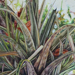 Historias del aire y del suelo | Stories of Air and Soil