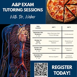 A&Pizza – Anatomy and Physiology Final Exam Tutoring Session with Dr. Weber