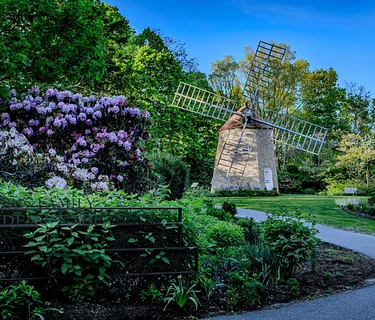 Opening Day and Earth Day Celebration (Sandwich)