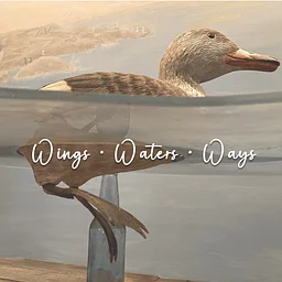 Wings • Waters • Ways : 2026 art show continues (September)