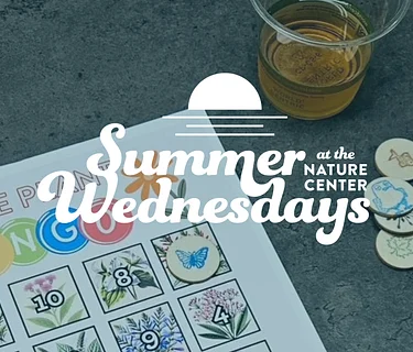 Game Night starring Native Plant Bingo 