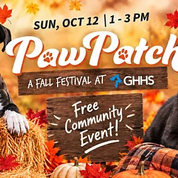 GHHS Paw Patch
