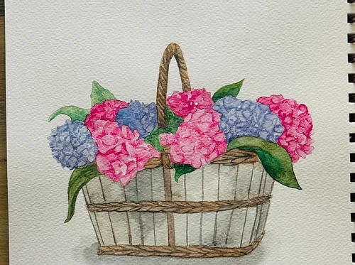 Hydrangeas Watercolor