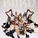 BIIRD