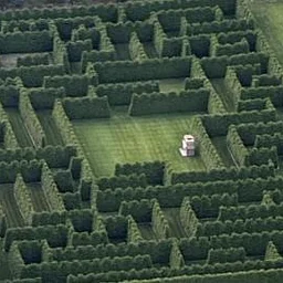 Second Shamrock Christmas Tree Farm’s Evergreen Hedge Maze Tour