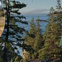 Trees of Acadia: The Past, Present, and Future of Park Forests feat. Catherine Schmitt and Panel
