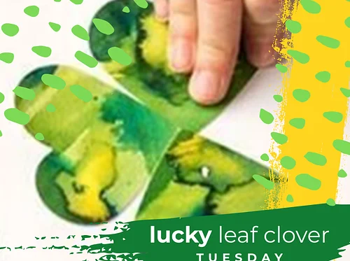 Lucky Leaf Clover