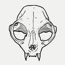 Noble Creature Wild Ales & Lagers