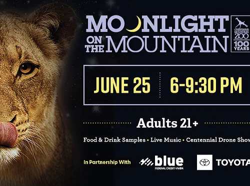 Moonlight on the Mountain