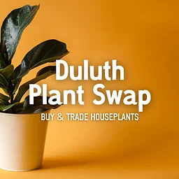 Duluth Plant Swap