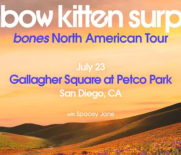 Rainbow Kitten Surprise