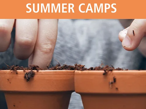 Magic in the Garden Summer Camp 7.13-7.17