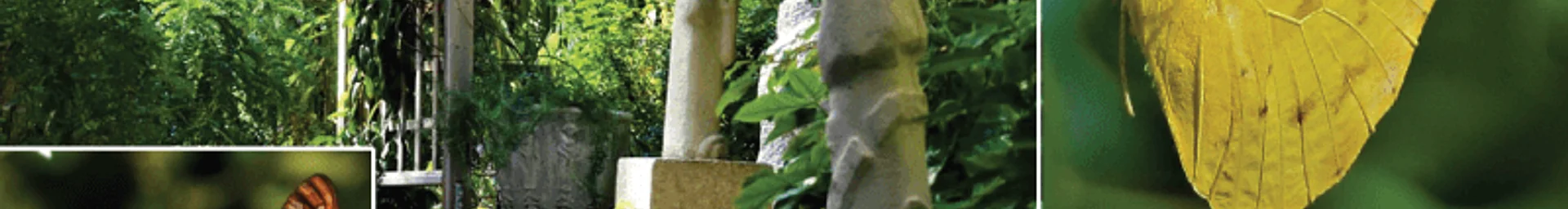 Ann Norton Sculpture Gardens