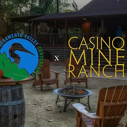 Events That Give Back | SVC Annual Fundraiser