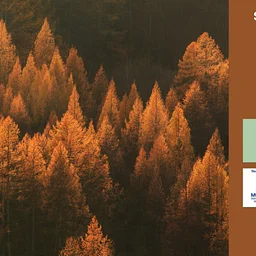 Sounds in Autumn: The Epilogue Trio