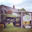 Pumpkin Vine Family Farm