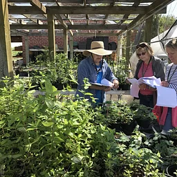 Lewis Ginter Fall Plant Sale