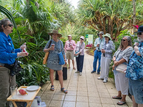 Soil to Spoon Walking Tour & Tasting