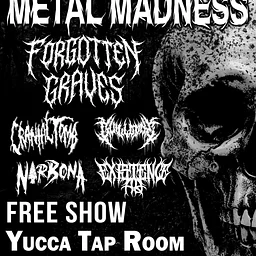 Metal Maddness