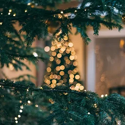 https://fwbg.org/full-calendar/wandering-roots-holiday-market-sip-shop/