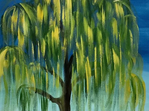 Willow Tree