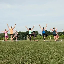Yoga in the Vineyard w/Lotus Root Yoga