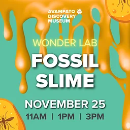 Wonder Lab: Fossil Slime