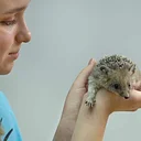 Junior WILD! Keepers Fall Session I