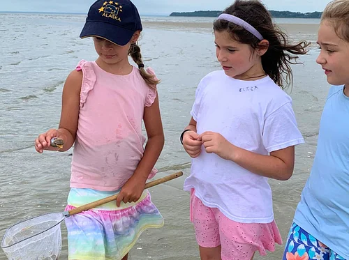 2026 Summer of Science Program