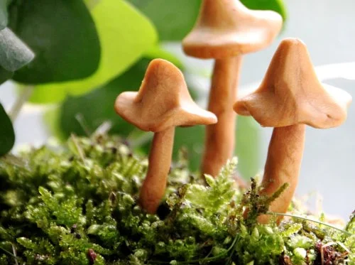 Oaks and Acorns: Leprechaun Garden