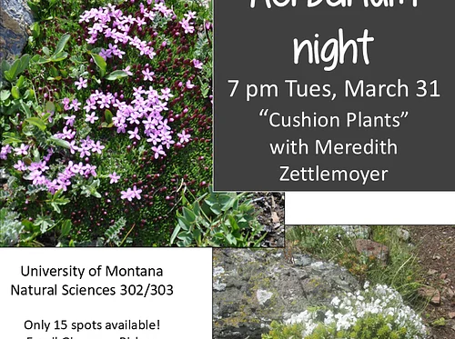 Herbarium night “Cushion plants” – Missoula